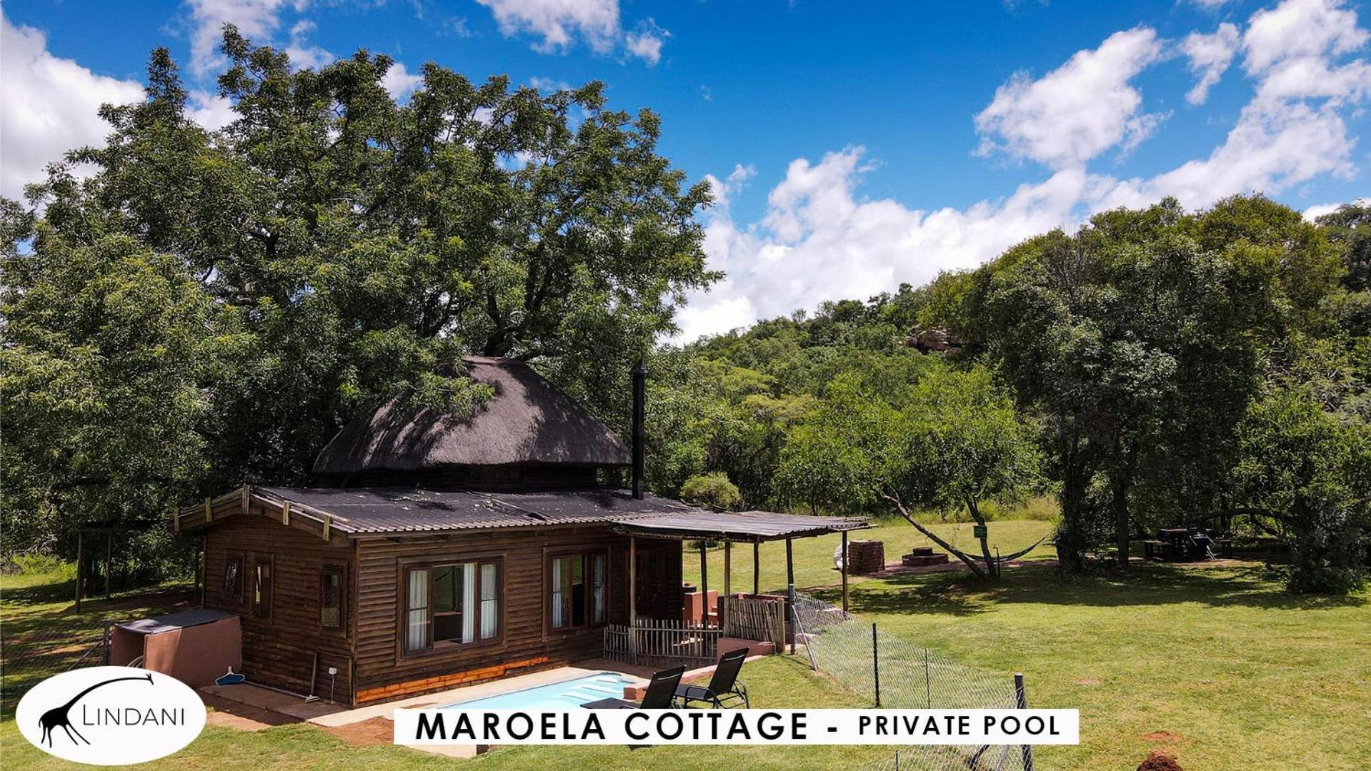 Lindani Game And Lodges Vaalwater Exterior photo